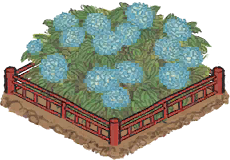 《江南百景图》绣球花稀有品种介绍