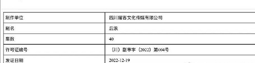 赵露思、罗一舟新剧《后浪》过审