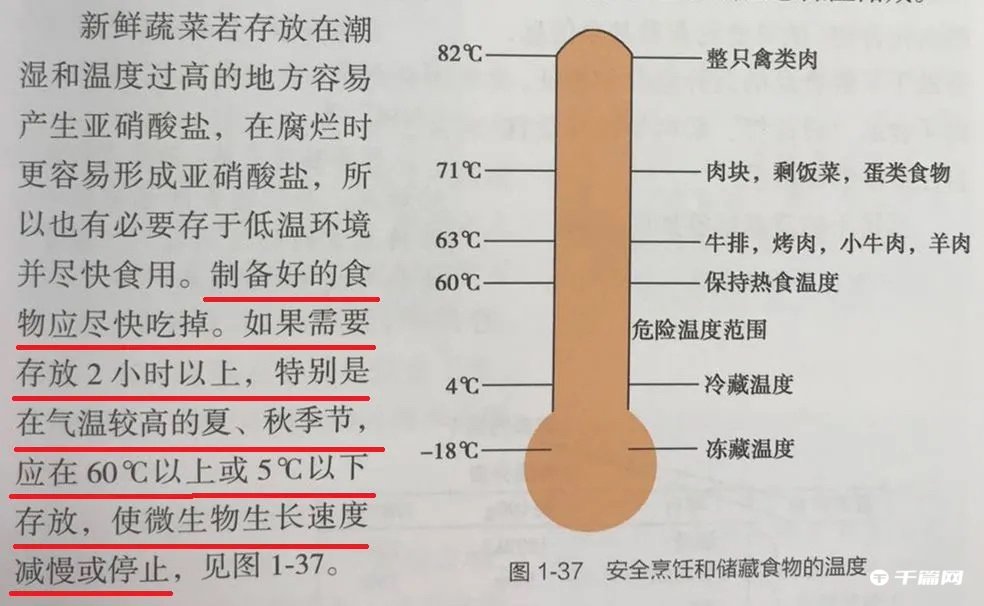 【冷知识】饭菜并不用等凉了才放冰箱