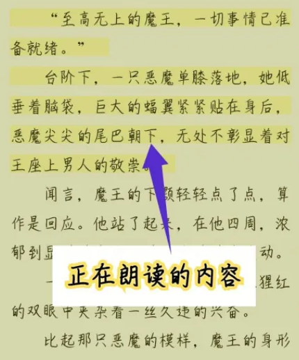 《菠萝包轻小说》怎么开启语音朗读模式