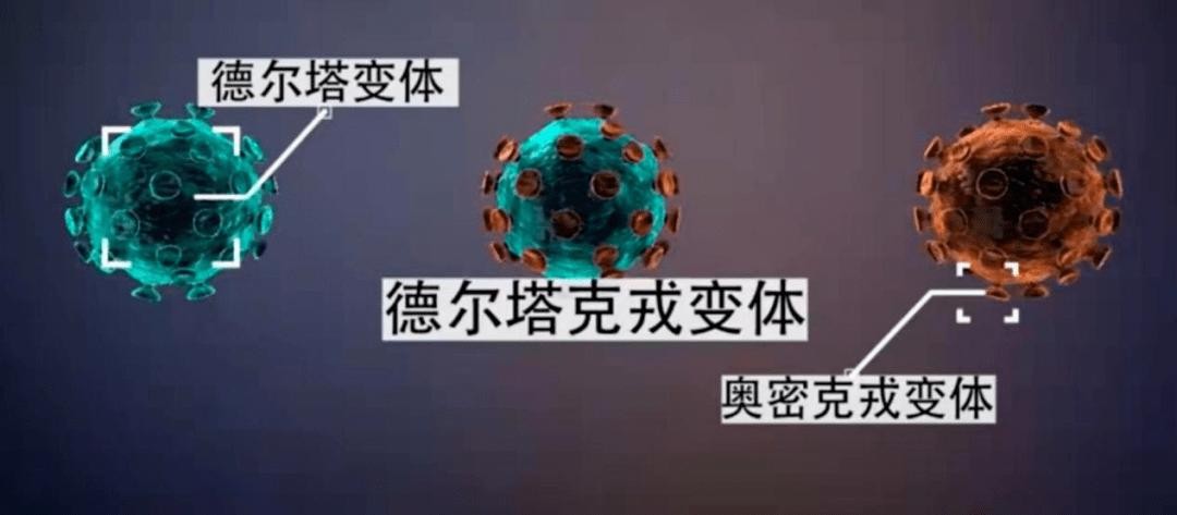 德尔塔克戎变异株是什么，怎么防护