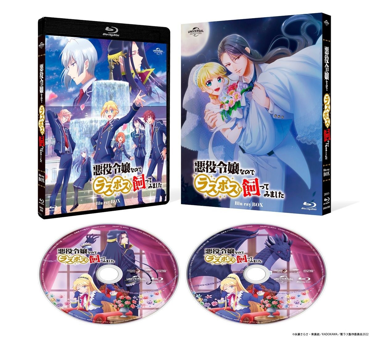 动画《因为是反派大小姐所以养了魔王》释出Blu-ray BOX封面