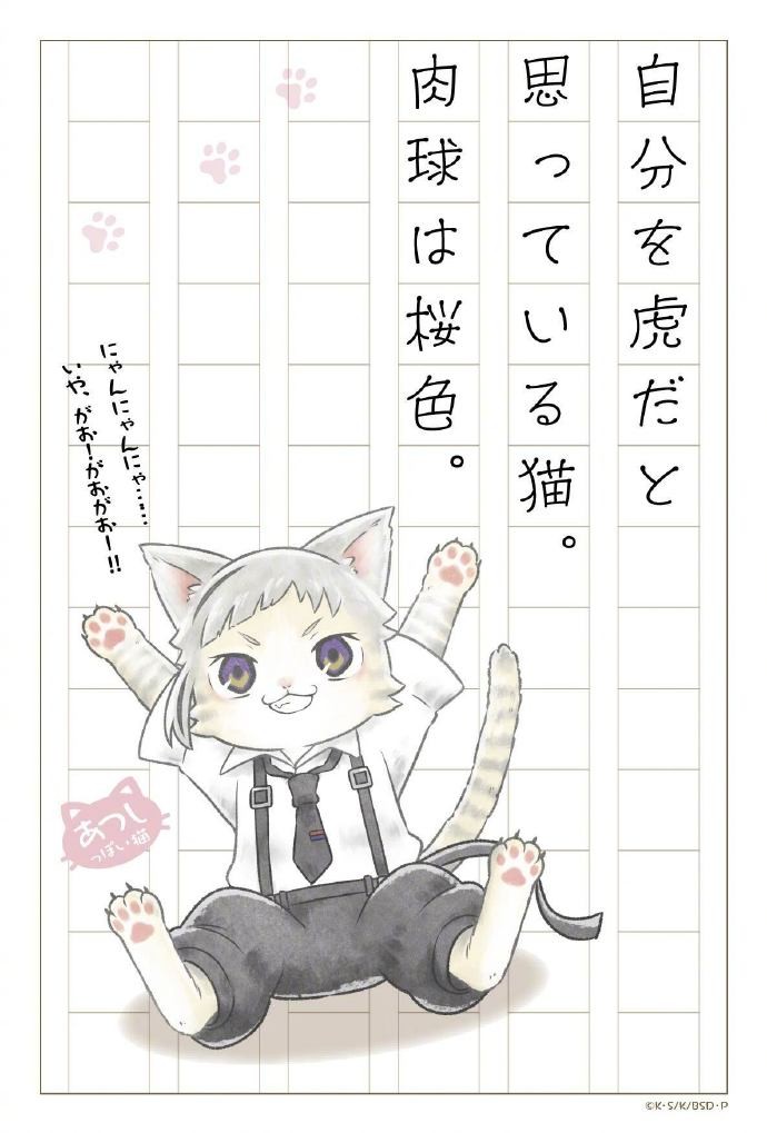 《文豪野犬》“猫之日”合集