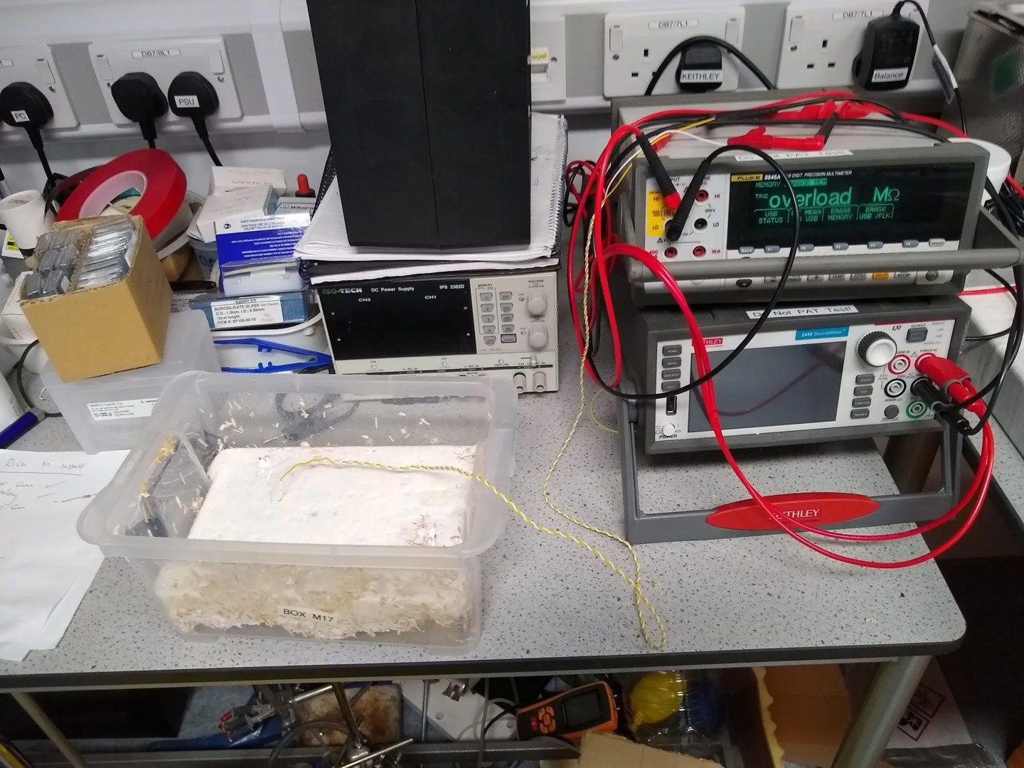 英国科学家成功用蘑菇替代 CPU 和内存