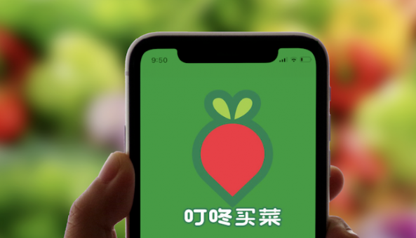 叮咚买菜Q1营收同比下降8.2%