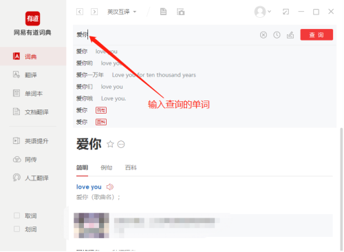 《有道词典》怎么查询单词