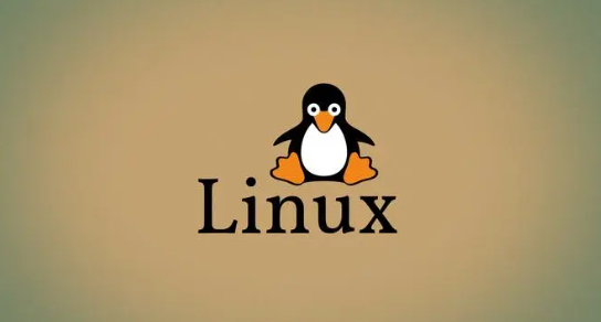 Linux内核 LTS期限将从 6 年缩短至 2 年