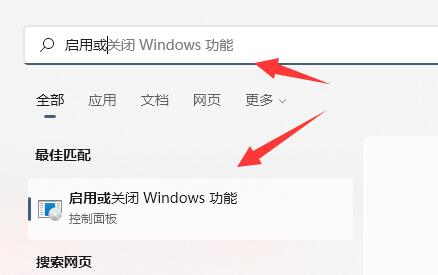 Win11正式版怎么安装wsa