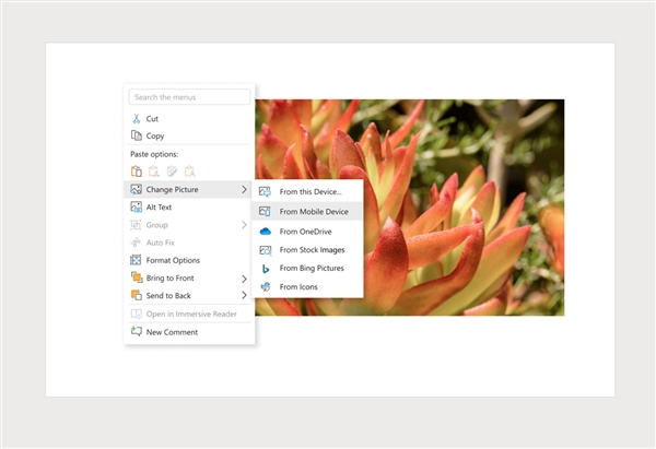 微软Office内测新功能：ppt/word可将手机中的图片直接导入文档