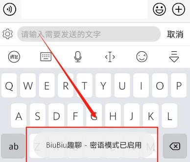 《讯飞输入法》如何启用BiuBiu密语模式？（2022年最新设置教程）