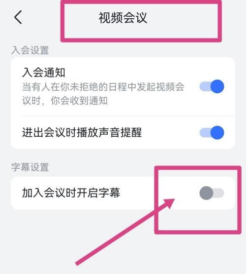 《飞书》怎么开启视频会议字幕