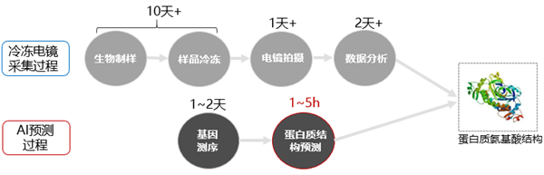 华为昇腾AI预测能力，助力动物疫苗研发降本增效