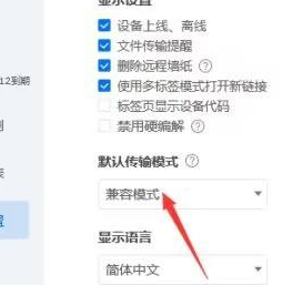 《ToDesk》怎么设置兼容模式