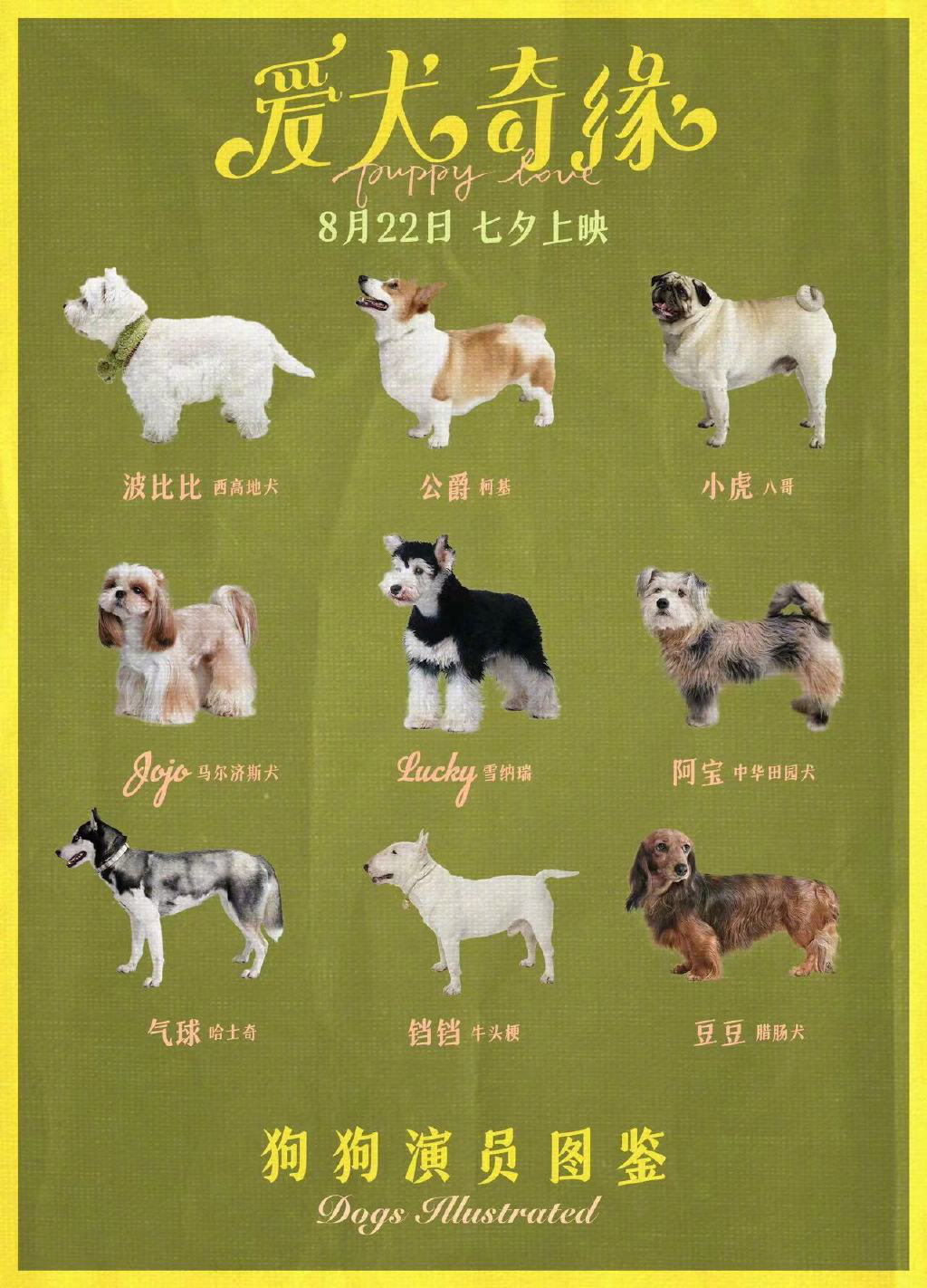 《爱犬奇缘》曝狗狗演员图鉴海报