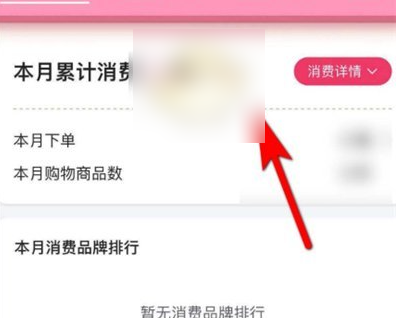 《唯品会》怎么查消费总额