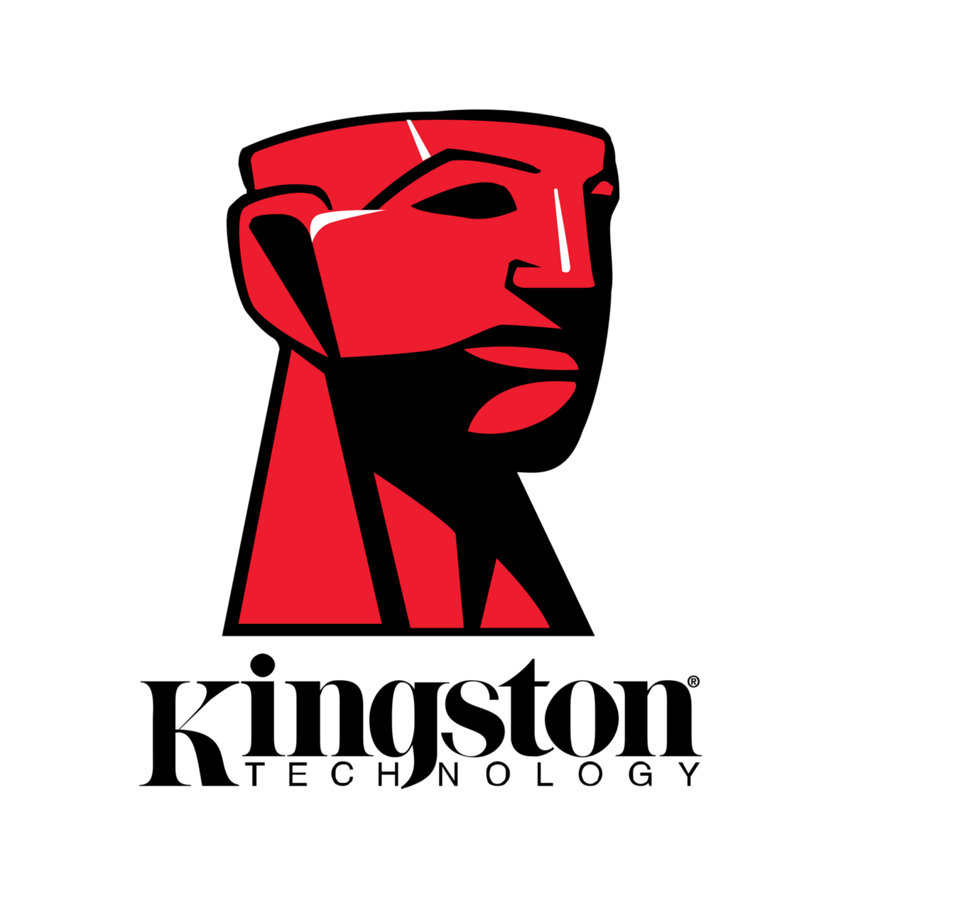 Kingston于2013年1月发布了首款1 TB的USB闪存盘